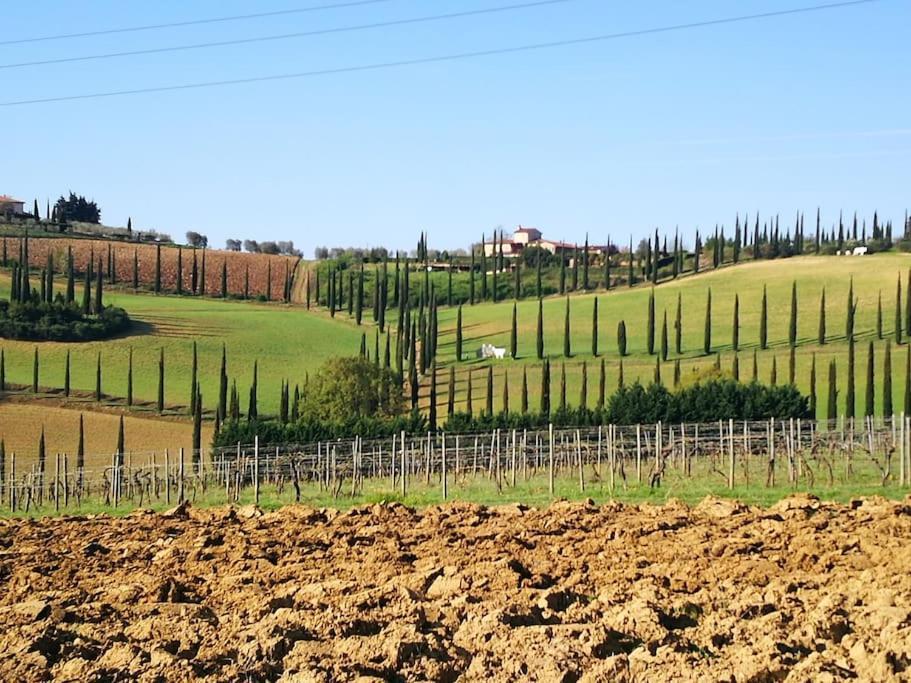 Castello Di Fulignano Ildebrando Superior Apartment Сан Джиминяно Екстериор снимка